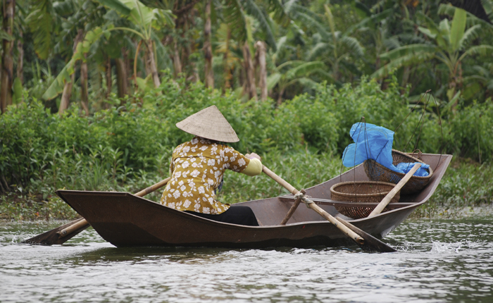 Vietnamees