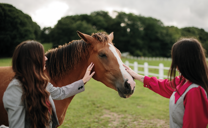 Paardencoach  