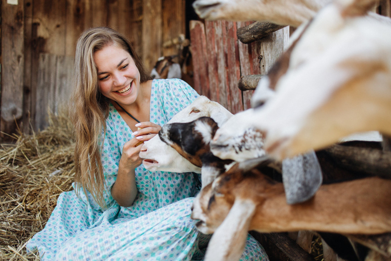met de opleiding dierenzorg kun je onder andere werken in een dierenpension